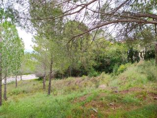 Residential Plot in Ronda de la pagesia 67a. Oportunidad única en sant llorenç dhortons! parcela n 5