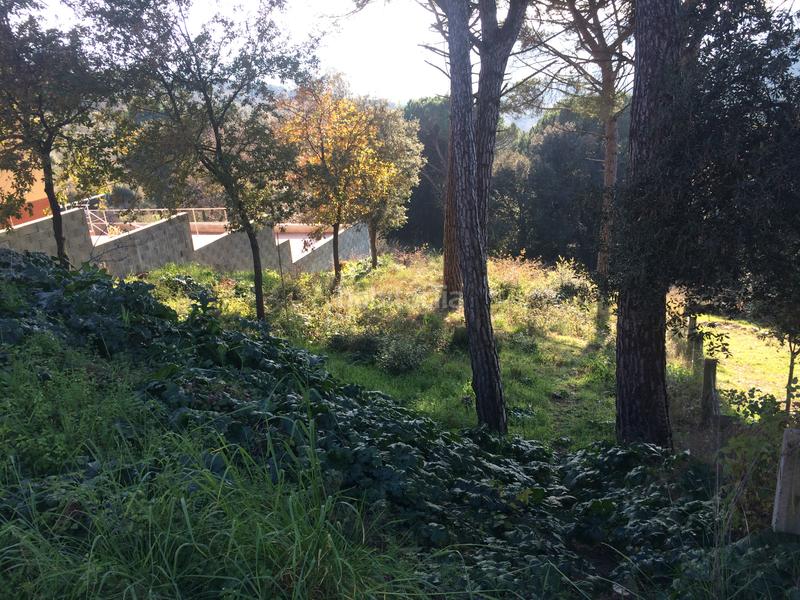 Foto 11bff883-88c0-47bc-96d5-63e794d98f47. Wohngrundstück in dalia in Santa Maria de Palautordera