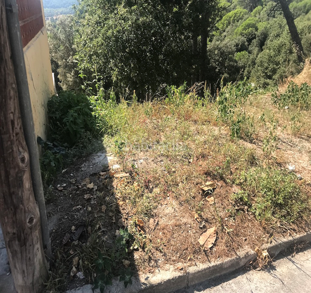 Foto b6a617b6-b069-41c7-8a5c-7b96ad0370de. Wohngrundstück in dalia in Santa Maria de Palautordera