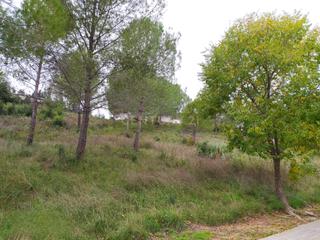 Terreno residencial en Ronda soleia 20. Oportunidad única en sant llorenç dhortons!  parcela 10