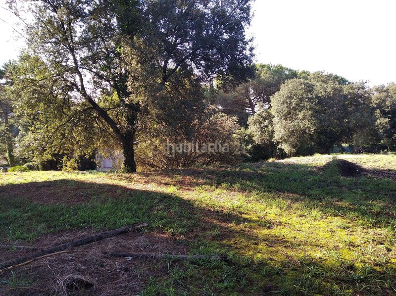 Foto 01c5ee59-07c9-4058-a034-eabf5798ee59. Residential plot in carrer del llinars in Sant Pere de Vilamajor