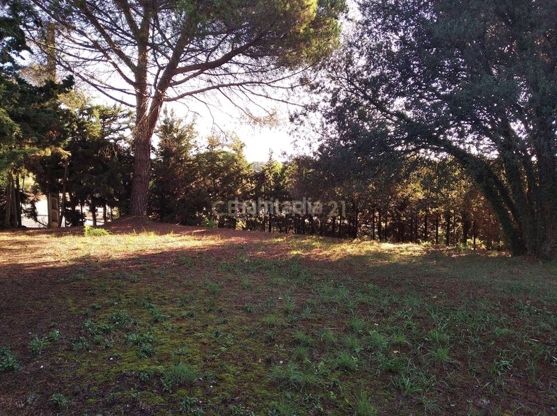 Foto 9f663277-b88a-45c0-86bb-9e1d557ebd88. Residential plot in carrer del llinars in Sant Pere de Vilamajor