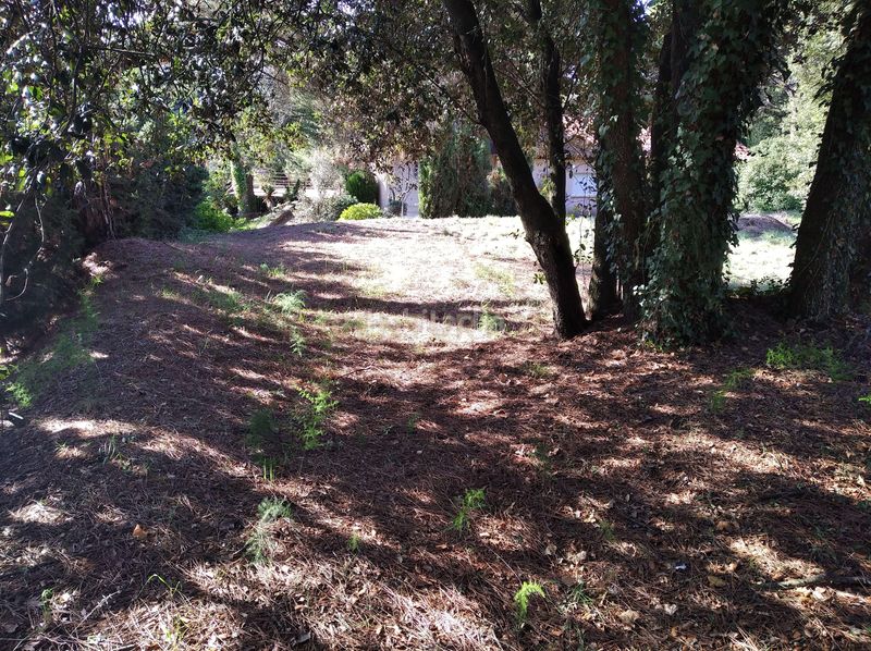 Foto ac292554-b65f-4f2f-a5a3-c8039b6601c6. Residential plot in carrer del llinars in Sant Pere de Vilamajor