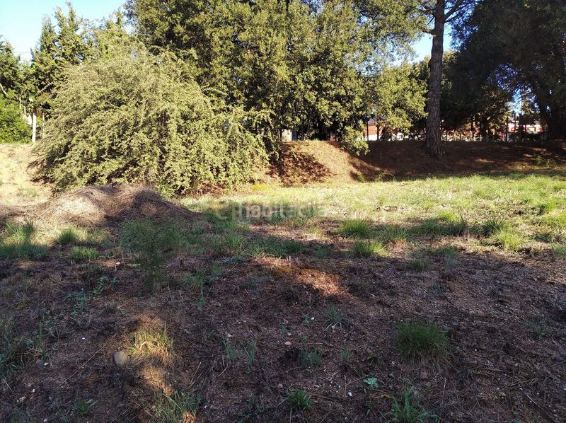 Foto d45b55fd-8dae-48d3-8920-cfbee7f97515. Residential plot in carrer del llinars in Sant Pere de Vilamajor