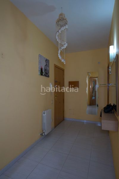 Foto 50aa5a96-4a0b-4c28-9204-270f4b6ff83d. Pis a Tona