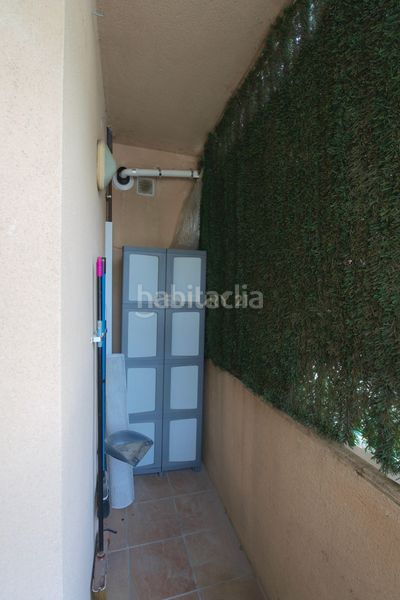 Foto ca3765ce-8bea-4c2a-a386-58a0ed9771da. Pis a Tona