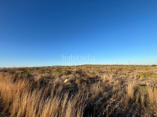 Foto f40e7397-7ff3-4cd6-bbb4-b5eb18227b1e. Finca rústica a carretera de barqueros a 11 a Alcantarilla