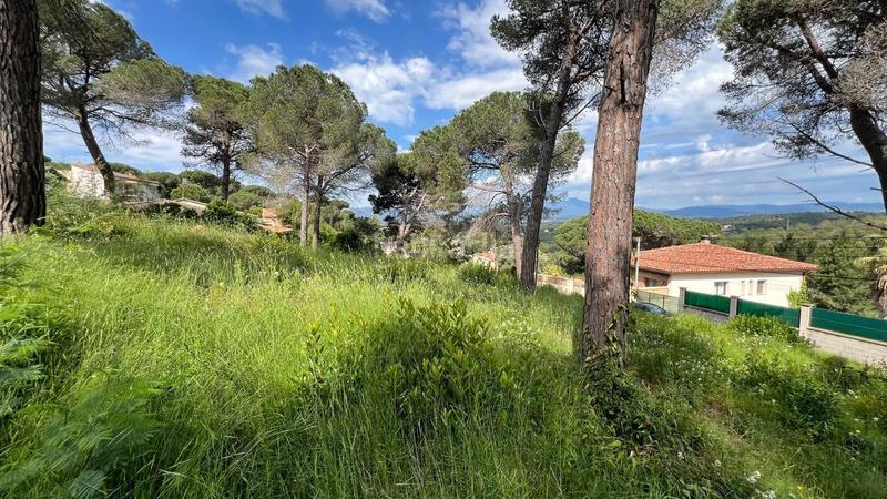 Foto 709f79db-f510-425f-af2c-588a1b58dd82. Terreny residencial a Mas Mora-Sant Daniel Tordera