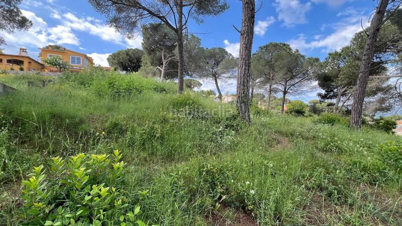 Foto acf9893e-142d-4f9e-835d-a3366b2b9597. Terreny residencial a Mas Mora-Sant Daniel Tordera