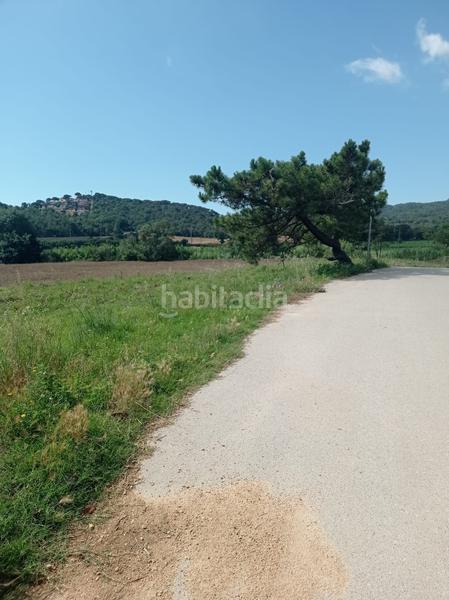Foto 6904a675-f7fd-46fa-9c16-d09d1768fbba. Terreny residencial a Tordera Tordera