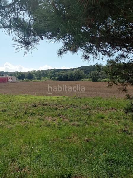 Foto e11ee16b-46c7-47f6-ab9d-b566ef389251. Terreny residencial a Tordera Tordera