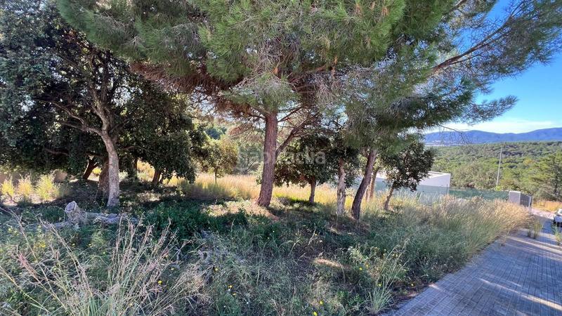 Foto 1e1becef-4ef0-4e85-9000-e3bac28876ff. Terreno residenziale in Mas Mora-Sant Daniel Tordera
