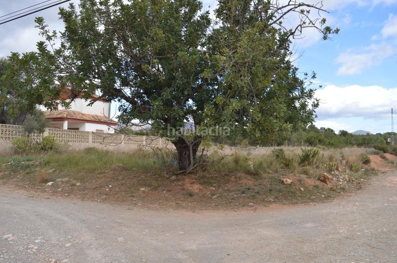 Foto 4cc154db-d78b-4189-8ce0-a7eaa99be3f2. Terrain résidentiel dans Los Pinares-La Masia Bétera