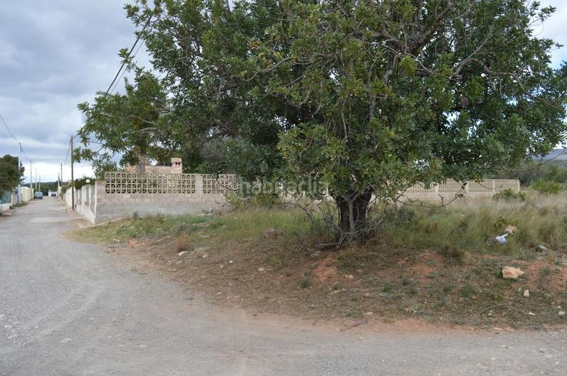 Foto 578f5cc9-9434-4111-a17c-e5fe2c0818ee. Terrain résidentiel dans Los Pinares-La Masia Bétera