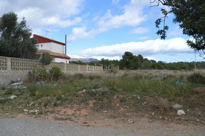 Foto 76e95dc7-d6cb-487a-8fcc-316db3d447fc. Terrain résidentiel dans Los Pinares-La Masia Bétera