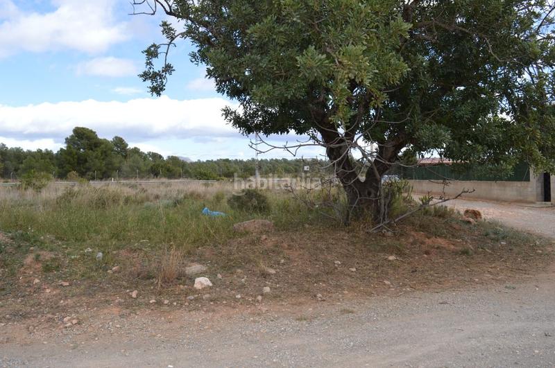 Foto 9bf4a815-5ea2-4db2-81d9-5290f0090204. Terrain résidentiel dans Los Pinares-La Masia Bétera