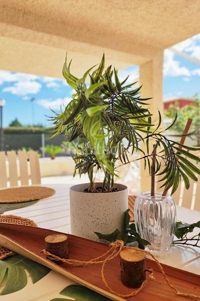 Foto 74ffddbd-901f-4c4c-800a-8eaa9d74ba71. Xalet amb calefacció aparcament piscina a Canet d´en Berenguer