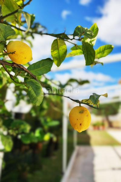 Foto a6f8dfac-381b-415d-b9d3-f77d396e3b35. Xalet amb calefacció aparcament piscina a Canet d´en Berenguer
