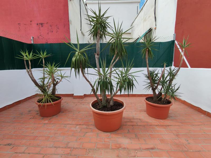 Foto 5c97baaf-02ff-4466-a389-d1b1e198fb1f. Attique avec chauffage dans Favara Valencia