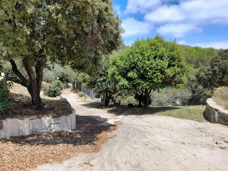 Foto 0d68c9f8-31a5-4f45-857b-61ef01a5d6c2. Bauernhof in vial camino 1 in Riudecols