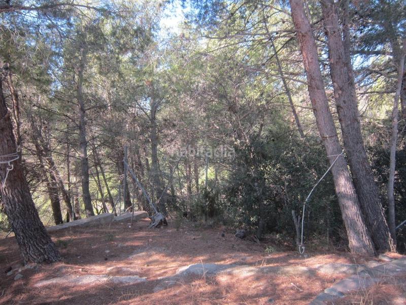 Foto f6073052-e62b-4597-bf7c-1ca923230b6e. Bauernhof in vial camino 1 in Riudecols