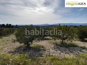 Foto 7e1d92d0-70d1-4bd0-acdc-bf67911a4ff5. Finca rústica a Secuita (La)
