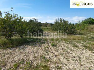 Foto c586fa1e-e534-41f4-af5f-43600526d188. Finca rústica a Secuita (La)