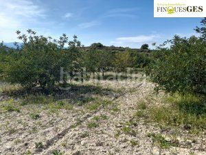 Foto db5bc88d-eee1-4817-bd21-beabab1a2dfb. Finca rústica a Secuita (La)
