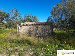 Finca rústica en Masó (La). Terreno en venta en partida los costers s/n, la masó