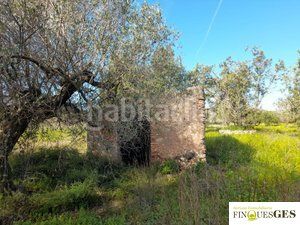 Foto 9fb0caf1-0ab8-4ea9-a0b2-f36c323901e6. Finca rústica a Masó (La)
