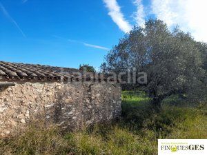Foto addef8c6-a9d3-4ba9-9578-569204167d40. Finca rústica a Masó (La)