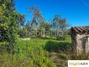 Foto e3d7f933-ae29-4ba8-af99-36d525f4b5dc. Finca rústica a Masó (La)