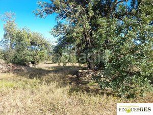 Foto f865656a-362d-4959-b796-63f0d0bdecf3. Finca rústica a Masó (La)