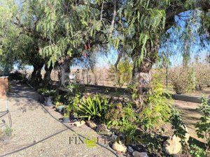 Foto a23746d5-f565-448d-ac69-57064b1d3903. Masia amb xemeneia piscina a Milà (El)