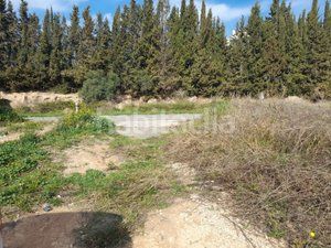 Foto 3bf179c7-cf8c-40d6-ae3c-68236faff024. Finca rústica a Vallmoll