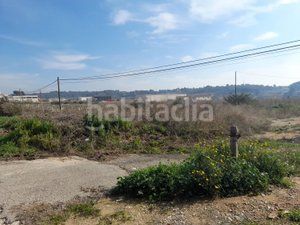 Foto 3eea7de6-2262-47c4-833e-a646d86f1337. Finca rústica a Vallmoll