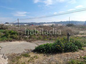 Foto 60da1ba0-c61c-478d-baac-75df2a96a494. Finca rústica a Vallmoll