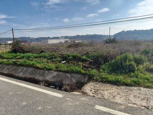 Fondo rustico in Vallmoll. Terreno en venta en carretera a la maso 8, vallmoll