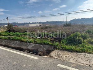 Foto 7b35f663-0916-438d-a901-09af59052380. Finca rústica a Vallmoll
