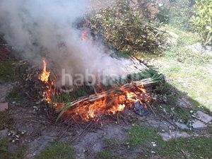 Foto ae1362ea-cdeb-4af5-b412-65696332ff25. Finca rústica a Vallmoll