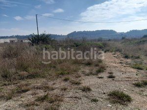 Foto c02a93a9-7f90-43c8-9a42-a84a0f87e942. Finca rústica a Vallmoll
