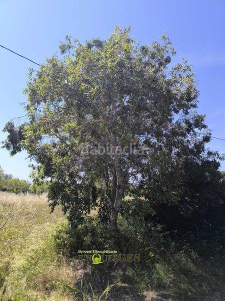 Foto f209eaeb-0883-4d26-beb6-f8ed209357b4. Masia amb xemeneia aparcament a Valls