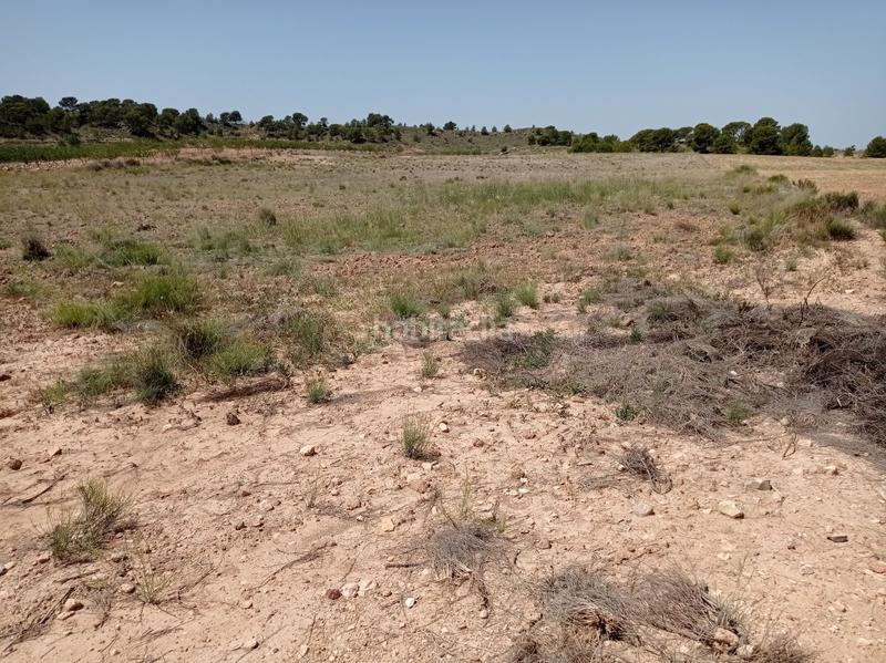 Foto 075cebe5-eb2b-496a-bca8-cbdfea47c8df. Wohngrundstück in paraje chamaleta parc in Jumilla