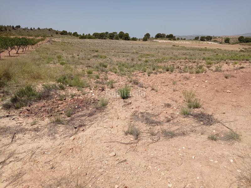 Foto cc620de0-7fbe-46f2-bcee-fe798bd201e2. Wohngrundstück in paraje chamaleta parc in Jumilla