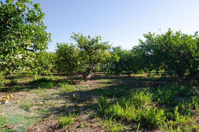Foto 0cb30813-1366-4715-a893-7253d55d1302. Terrain résidentiel dans carril de los sauras dans Algezares Murcia