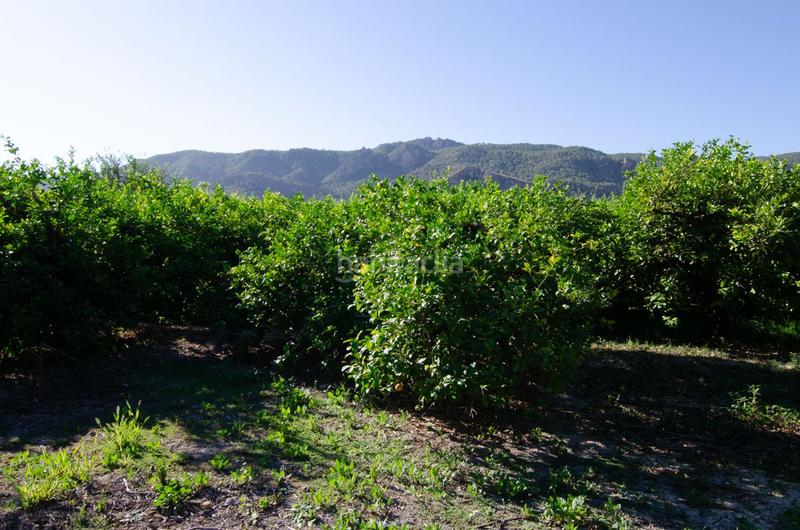 Foto 1f765353-8af4-44aa-845f-5e4a0fa0fb50. Terrain résidentiel dans carril de los sauras dans Algezares Murcia