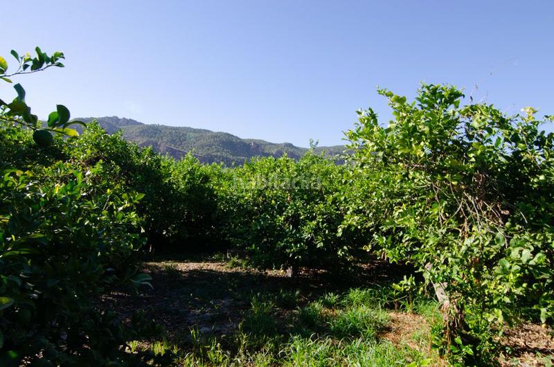 Foto 61668b81-f225-418f-81bb-bb2c4fb90b1c. Terrain résidentiel dans carril de los sauras dans Algezares Murcia