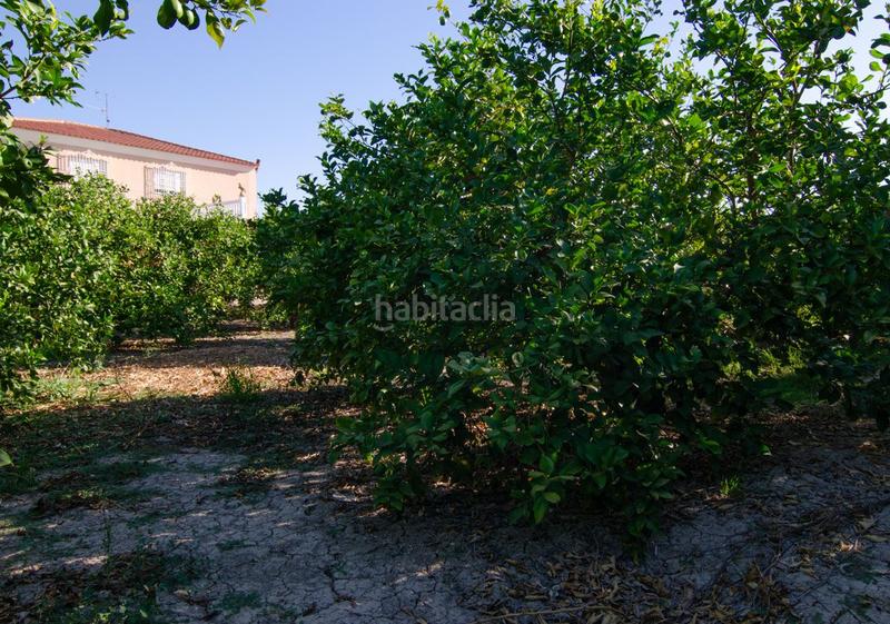 Foto afc0cccc-32ab-4936-badf-5036c96afd99. Terrain résidentiel dans carril de los sauras dans Algezares Murcia