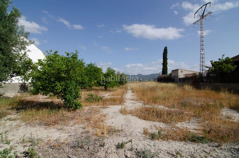 Foto 0bb915ca-4ca5-4854-a42a-6636bb071691. Wohngrundstück in paraje fin de padilla in Era Alta Murcia