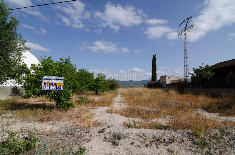 Foto 6af79eeb-2bed-4987-824b-31a75b18abba. Wohngrundstück in paraje fin de padilla in Era Alta Murcia